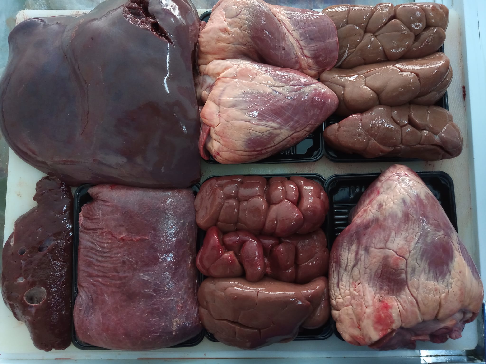 Beef Liver, Spleen, Kidney, Lung and Heart