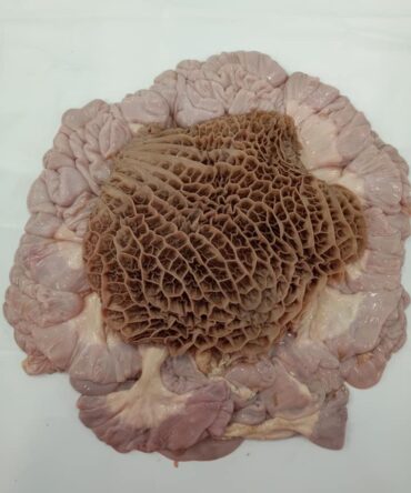 Mixed Offals butchery