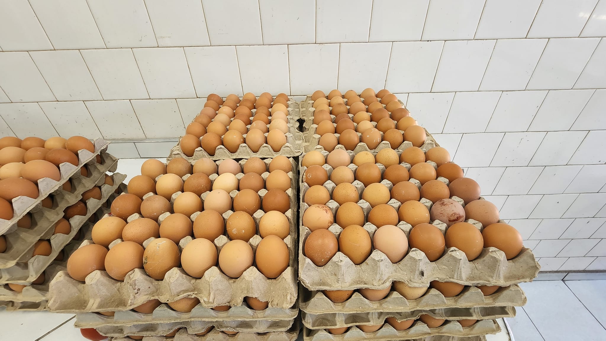 Eggs Crate - Image 2