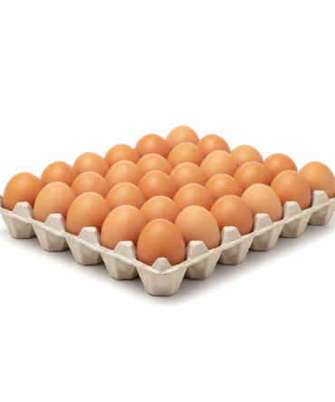 Eggs Crate